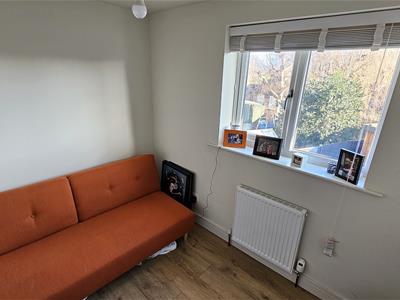 Picture 35